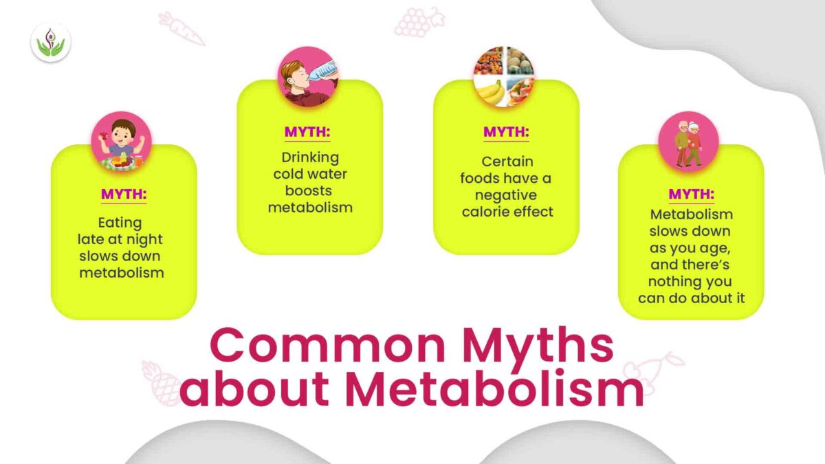 Common Myths about Metabolism